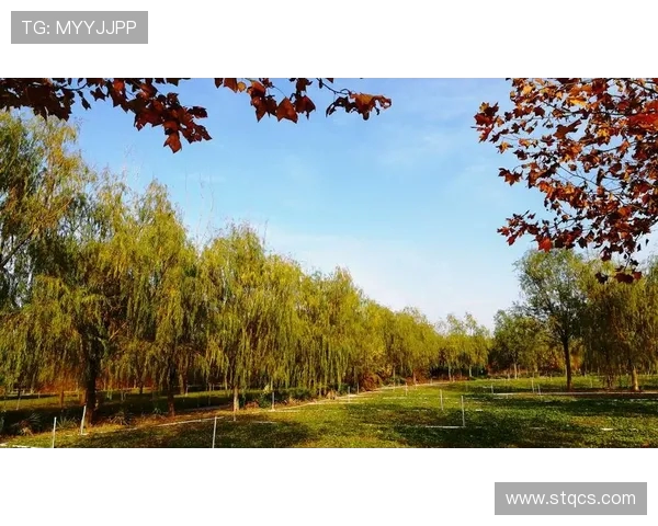 石家庄火力全开！热气球音乐嘉年华燃爆滹沱河畔